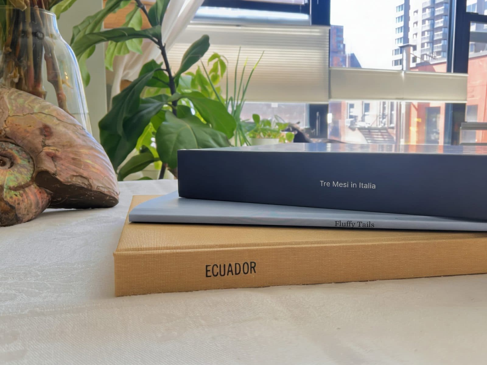 A hardcover, a softcover and a linen wrap photo book stacked on a windowsill