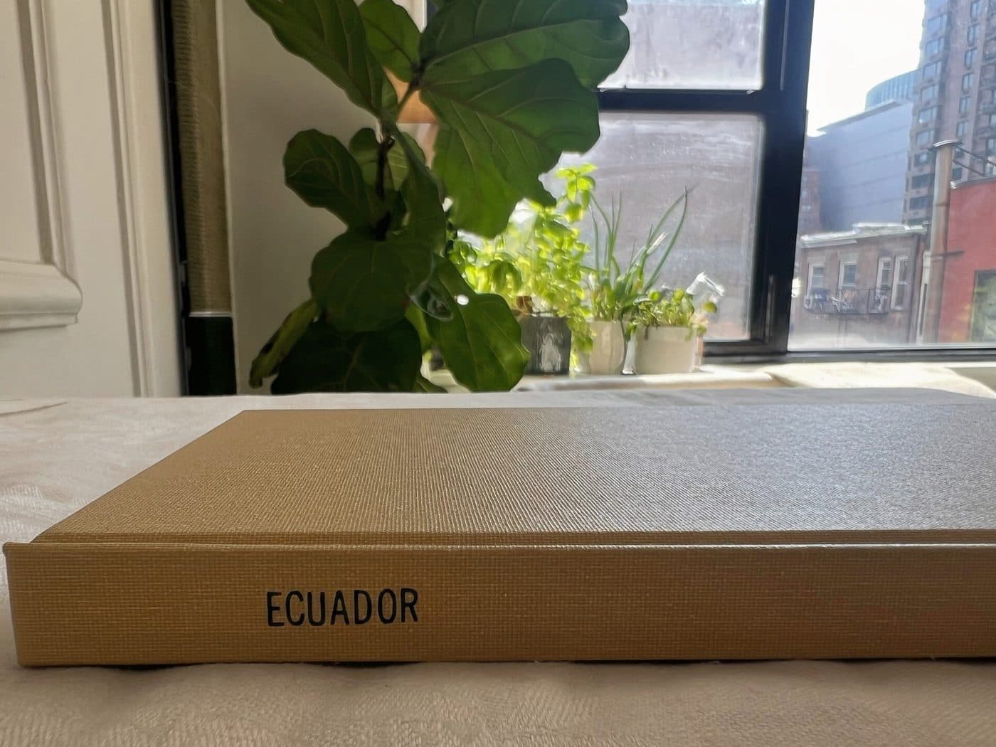 A tan linen wrap photo book on a windowsill, its title foil stamped on the case